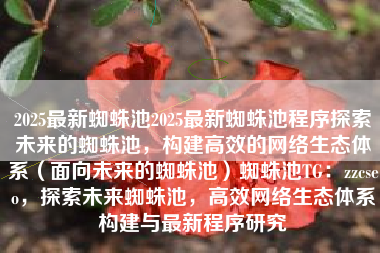 2025最新蜘蛛池2025最新蜘蛛池程序探索未来的蜘蛛池，构建高效的网络生态体系（面向未来的蜘蛛池）蜘蛛池TG：zzcseo，探索未来蜘蛛池，高效网络生态体系构建与最新程序研究