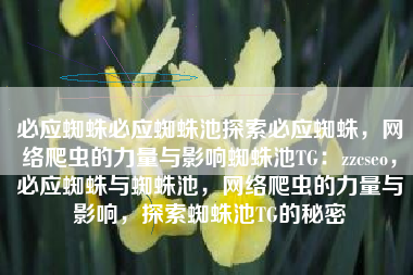 必应蜘蛛必应蜘蛛池探索必应蜘蛛，网络爬虫的力量与影响蜘蛛池TG：zzcseo，必应蜘蛛与蜘蛛池，网络爬虫的力量与影响，探索蜘蛛池TG的秘密