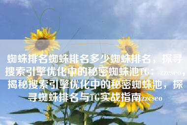 蜘蛛排名蜘蛛排名多少蜘蛛排名，探寻搜索引擎优化中的秘密蜘蛛池TG：zzcseo，揭秘搜索引擎优化中的秘密蜘蛛池，探寻蜘蛛排名与TG实战指南zzcseo