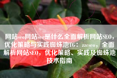 网站seo网站seo是什么全面解析网站SEO，优化策略与实践蜘蛛池TG：zzcseo，全面解析网站SEO，优化策略、实践及蜘蛛池技术指南