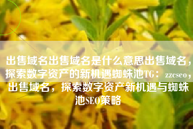 出售域名出售域名是什么意思出售域名，探索数字资产的新机遇蜘蛛池TG：zzcseo，出售域名，探索数字资产新机遇与蜘蛛池SEO策略