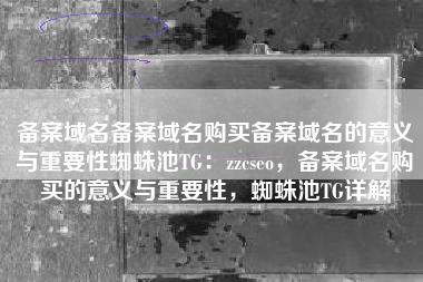 备案域名备案域名购买备案域名的意义与重要性蜘蛛池TG：zzcseo，备案域名购买的意义与重要性，蜘蛛池TG详解