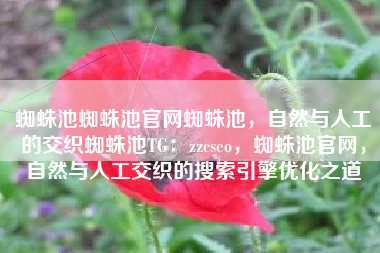 蜘蛛池蜘蛛池官网蜘蛛池，自然与人工的交织蜘蛛池TG：zzcseo，蜘蛛池官网，自然与人工交织的搜索引擎优化之道