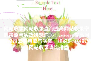 网站收录网站收录查询提高网站收录率的策略与实践蜘蛛池TG：zzcseo，提高网站收录率的策略与实践，蜘蛛池SEO技巧与网站收录查询指南