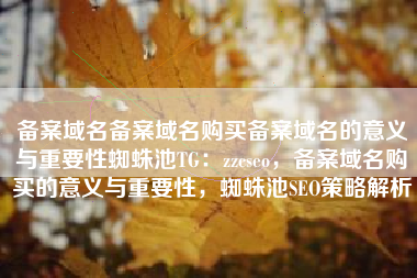备案域名备案域名购买备案域名的意义与重要性蜘蛛池TG：zzcseo，备案域名购买的意义与重要性，蜘蛛池SEO策略解析