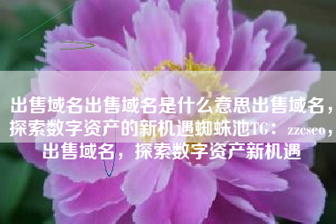 出售域名出售域名是什么意思出售域名，探索数字资产的新机遇蜘蛛池TG：zzcseo，出售域名，探索数字资产新机遇