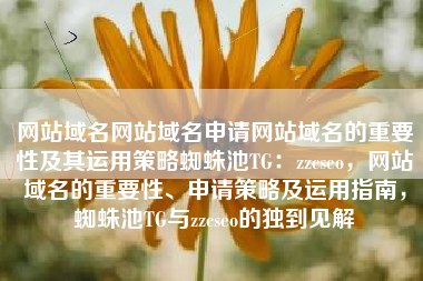 网站域名网站域名申请网站域名的重要性及其运用策略蜘蛛池TG：zzcseo，网站域名的重要性、申请策略及运用指南，蜘蛛池TG与zzcseo的独到见解
