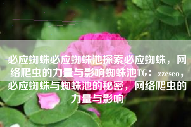 必应蜘蛛必应蜘蛛池探索必应蜘蛛，网络爬虫的力量与影响蜘蛛池TG：zzcseo，必应蜘蛛与蜘蛛池的秘密，网络爬虫的力量与影响