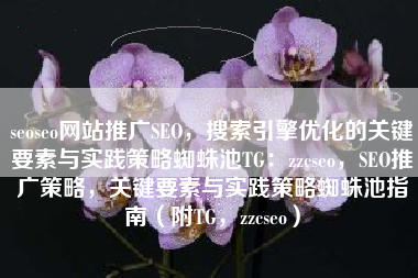 seoseo网站推广SEO，搜索引擎优化的关键要素与实践策略蜘蛛池TG：zzcseo，SEO推广策略，关键要素与实践策略蜘蛛池指南（附TG，zzcseo）