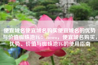 便宜域名便宜域名购买便宜域名的优势与价值蜘蛛池TG：zzcseo，便宜域名购买，优势、价值与蜘蛛池TG的使用指南