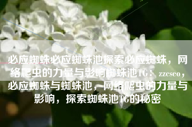 必应蜘蛛必应蜘蛛池探索必应蜘蛛，网络爬虫的力量与影响蜘蛛池TG：zzcseo，必应蜘蛛与蜘蛛池，网络爬虫的力量与影响，探索蜘蛛池TG的秘密