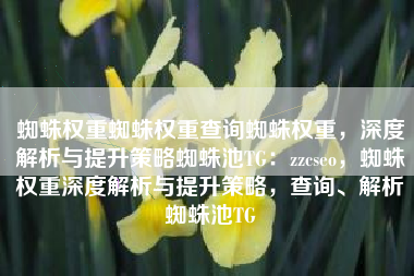蜘蛛权重蜘蛛权重查询蜘蛛权重，深度解析与提升策略蜘蛛池TG：zzcseo，蜘蛛权重深度解析与提升策略，查询、解析蜘蛛池TG
