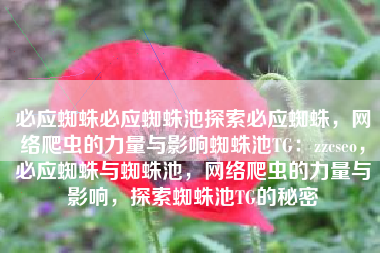 必应蜘蛛必应蜘蛛池探索必应蜘蛛，网络爬虫的力量与影响蜘蛛池TG：zzcseo，必应蜘蛛与蜘蛛池，网络爬虫的力量与影响，探索蜘蛛池TG的秘密