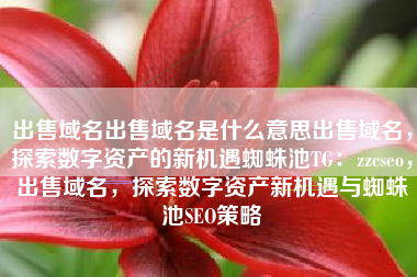 出售域名出售域名是什么意思出售域名，探索数字资产的新机遇蜘蛛池TG：zzcseo，出售域名，探索数字资产新机遇与蜘蛛池SEO策略