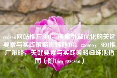 seoseo网站推广SEO，搜索引擎优化的关键要素与实践策略蜘蛛池TG：zzcseo，SEO推广策略，关键要素与实践策略蜘蛛池指南（附TG，zzcseo）