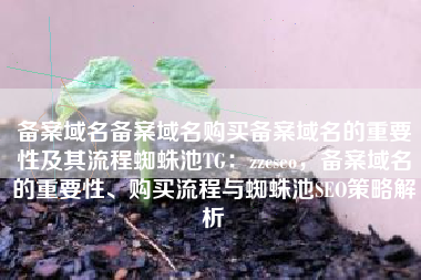 备案域名备案域名购买备案域名的重要性及其流程蜘蛛池TG：zzcseo，备案域名的重要性、购买流程与蜘蛛池SEO策略解析