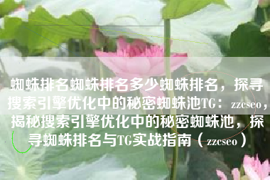 蜘蛛排名蜘蛛排名多少蜘蛛排名，探寻搜索引擎优化中的秘密蜘蛛池TG：zzcseo，揭秘搜索引擎优化中的秘密蜘蛛池，探寻蜘蛛排名与TG实战指南（zzcseo）