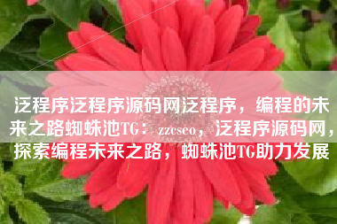 泛程序泛程序源码网泛程序，编程的未来之路蜘蛛池TG：zzcseo，泛程序源码网，探索编程未来之路，蜘蛛池TG助力发展