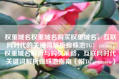 权重域名权重域名购买权重域名，互联网时代的关键词解析蜘蛛池TG：zzcseo，权重域名解析与购买策略，互联网时代关键词解析蜘蛛池指南（附TG，zzcseo）
