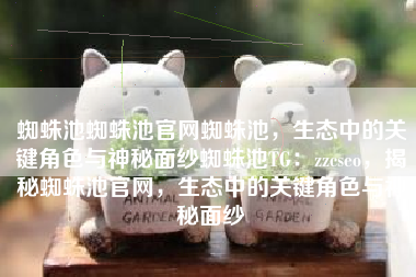 蜘蛛池蜘蛛池官网蜘蛛池，生态中的关键角色与神秘面纱蜘蛛池TG：zzcseo，揭秘蜘蛛池官网，生态中的关键角色与神秘面纱