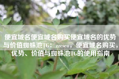 便宜域名便宜域名购买便宜域名的优势与价值蜘蛛池TG：zzcseo，便宜域名购买，优势、价值与蜘蛛池TG的使用指南