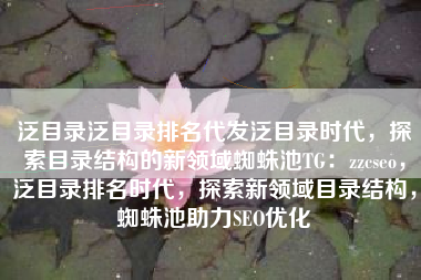泛目录泛目录排名代发泛目录时代，探索目录结构的新领域蜘蛛池TG：zzcseo，泛目录排名时代，探索新领域目录结构，蜘蛛池助力SEO优化