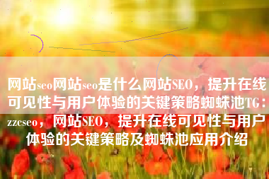 网站seo网站seo是什么网站SEO，提升在线可见性与用户体验的关键策略蜘蛛池TG：zzcseo，网站SEO，提升在线可见性与用户体验的关键策略及蜘蛛池应用介绍