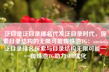 泛目录泛目录排名代发泛目录时代，探索目录结构的无限可能蜘蛛池TG：zzcseo，泛目录排名探索与目录结构无限可能——蜘蛛池TG助力SEO优化