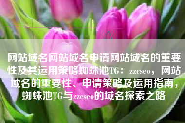 网站域名网站域名申请网站域名的重要性及其运用策略蜘蛛池TG：zzcseo，网站域名的重要性、申请策略及运用指南，蜘蛛池TG与zzcseo的域名探索之路