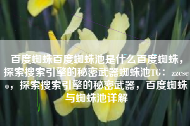 百度蜘蛛百度蜘蛛池是什么百度蜘蛛，探索搜索引擎的秘密武器蜘蛛池TG：zzcseo，探索搜索引擎的秘密武器，百度蜘蛛与蜘蛛池详解