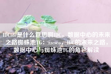 IDCidc是什么意思啊IDC，数据中心的未来之路蜘蛛池TG：zzcseo，IDC的未来之路，数据中心与蜘蛛池TG的角色解读