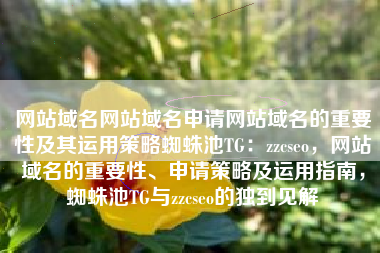 网站域名网站域名申请网站域名的重要性及其运用策略蜘蛛池TG：zzcseo，网站域名的重要性、申请策略及运用指南，蜘蛛池TG与zzcseo的独到见解