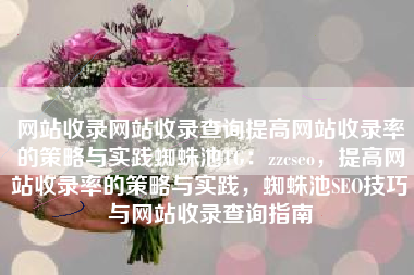 网站收录网站收录查询提高网站收录率的策略与实践蜘蛛池TG：zzcseo，提高网站收录率的策略与实践，蜘蛛池SEO技巧与网站收录查询指南