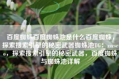 百度蜘蛛百度蜘蛛池是什么百度蜘蛛，探索搜索引擎的秘密武器蜘蛛池TG：zzcseo，探索搜索引擎的秘密武器，百度蜘蛛与蜘蛛池详解