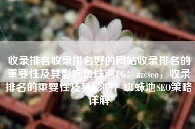 收录排名收录排名好的网站收录排名的重要性及其影响蜘蛛池TG：zzcseo，收录排名的重要性及其影响，蜘蛛池SEO策略详解