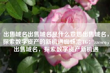 出售域名出售域名是什么意思出售域名，探索数字资产的新机遇蜘蛛池TG：zzcseo，出售域名，探索数字资产新机遇