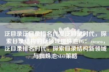 泛目录泛目录排名代发泛目录时代，探索目录结构的新领域蜘蛛池TG：zzcseo，泛目录排名时代，探索目录结构新领域与蜘蛛池SEO策略