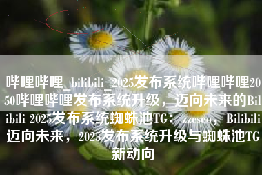 哔哩哔哩_bilibili_2025发布系统哔哩哔哩2050哔哩哔哩发布系统升级，迈向未来的Bilibili 2025发布系统蜘蛛池TG：zzcseo，Bilibili迈向未来，2025发布系统升级与蜘蛛池TG新动向