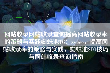 网站收录网站收录查询提高网站收录率的策略与实践蜘蛛池TG：zzcseo，提高网站收录率的策略与实践，蜘蛛池SEO技巧与网站收录查询指南