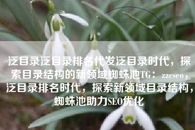 泛目录泛目录排名代发泛目录时代，探索目录结构的新领域蜘蛛池TG：zzcseo，泛目录排名时代，探索新领域目录结构，蜘蛛池助力SEO优化
