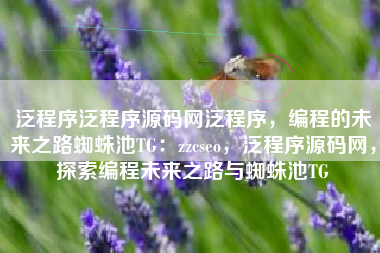 泛程序泛程序源码网泛程序，编程的未来之路蜘蛛池TG：zzcseo，泛程序源码网，探索编程未来之路与蜘蛛池TG