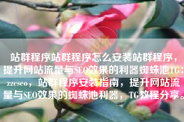站群程序站群程序怎么安装站群程序，提升网站流量与SEO效果的利器蜘蛛池TG：zzcseo，站群程序安装指南，提升网站流量与SEO效果的蜘蛛池利器，TG教程分享。