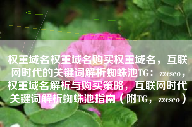 权重域名权重域名购买权重域名，互联网时代的关键词解析蜘蛛池TG：zzcseo，权重域名解析与购买策略，互联网时代关键词解析蜘蛛池指南（附TG，zzcseo）