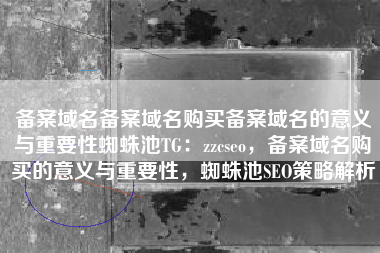 备案域名备案域名购买备案域名的意义与重要性蜘蛛池TG：zzcseo，备案域名购买的意义与重要性，蜘蛛池SEO策略解析