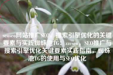 seoseo网站推广SEO，搜索引擎优化的关键要素与实践蜘蛛池TG：zzcseo，SEO推广与搜索引擎优化关键要素实践指南，蜘蛛池TG的使用与SEO优化