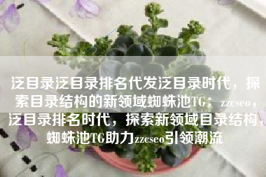 泛目录泛目录排名代发泛目录时代，探索目录结构的新领域蜘蛛池TG：zzcseo，泛目录排名时代，探索新领域目录结构，蜘蛛池TG助力zzcseo引领潮流