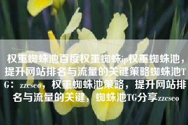 权重蜘蛛池百度权重蜘蛛ip权重蜘蛛池，提升网站排名与流量的关键策略蜘蛛池TG：zzcseo，权重蜘蛛池策略，提升网站排名与流量的关键，蜘蛛池TG分享zzcseo