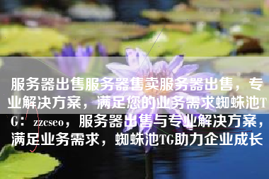 服务器出售服务器售卖服务器出售，专业解决方案，满足您的业务需求蜘蛛池TG：zzcseo，服务器出售与专业解决方案，满足业务需求，蜘蛛池TG助力企业成长