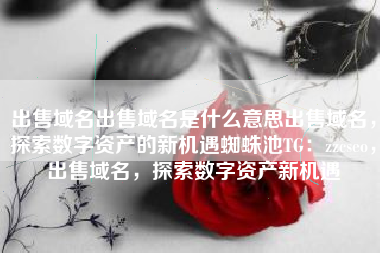 出售域名出售域名是什么意思出售域名，探索数字资产的新机遇蜘蛛池TG：zzcseo，出售域名，探索数字资产新机遇