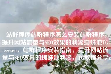 站群程序站群程序怎么安装站群程序，提升网站流量与SEO效果的利器蜘蛛池TG：zzcseo，站群程序安装指南，提升网站流量与SEO效果的蜘蛛池利器，TG教程分享zzcseo